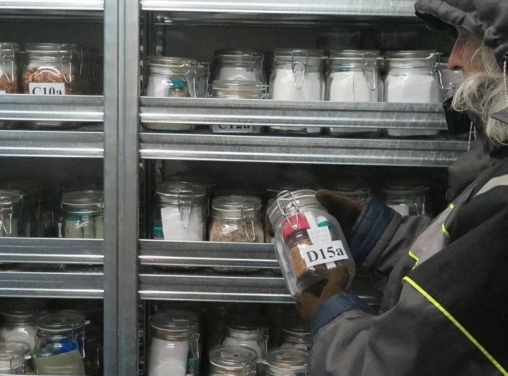 Αναβαθμίζεται η μοναδική Μεσογειακή βιοκλιματική τράπεζα σπόρων στην Ελλάδα